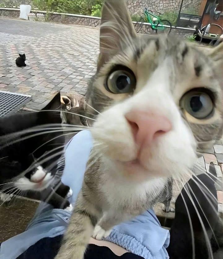 Fidela Khanza Nurin Azelia